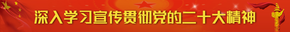 深入学习宣传贯彻党的二十大精神